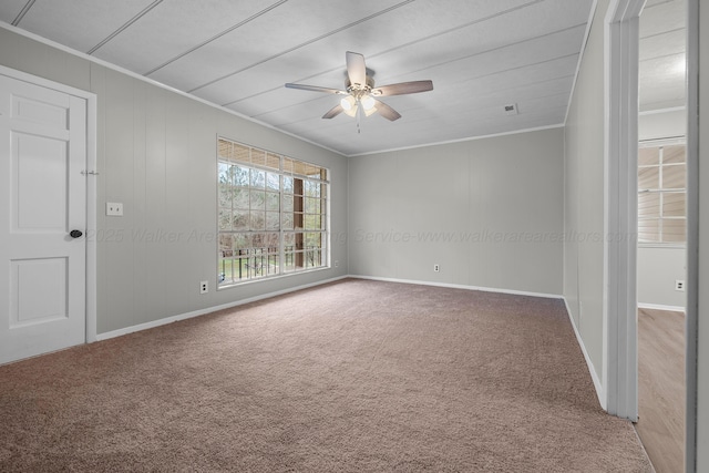 unfurnished room featuring carpet, ceiling fan, and ornamental molding