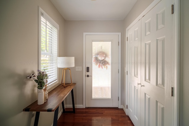 doorway to outside featuring dark wood-type flooring