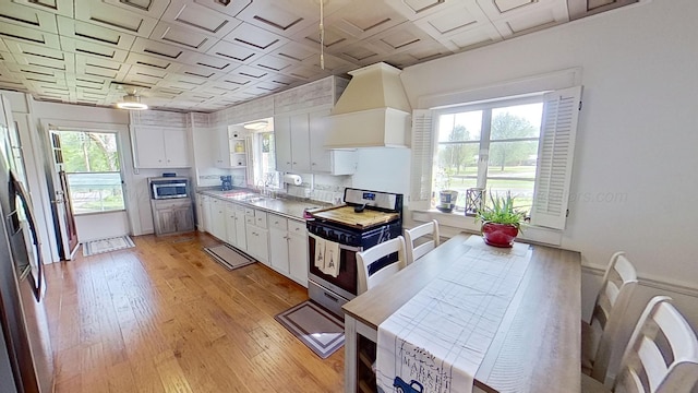 kitchen featuring appliances with stainless steel finishes, premium range hood, sink, light hardwood / wood-style floors, and white cabinetry