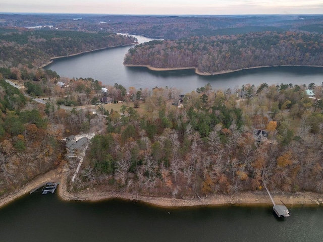 Listing photo 2 for Rock Creek Penninsula, Arley AL 35541