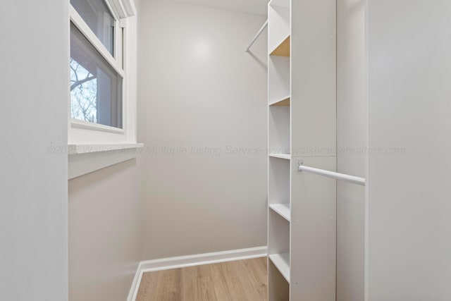 spacious closet featuring wood finished floors