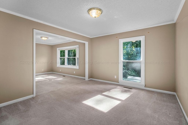 304 Cherokee Dr, Jasper, AL 35501 - photo 15