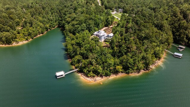 388 Emmons Dr, Arley, AL 35541 - photo 42