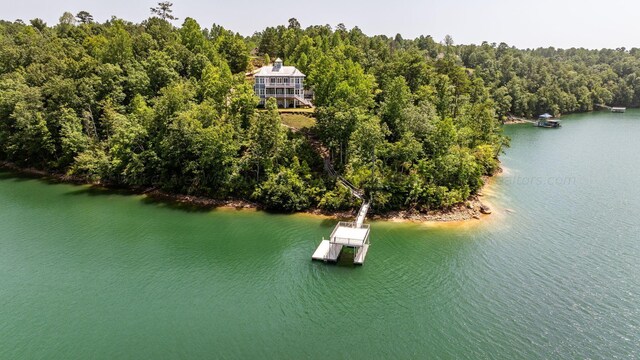 388 Emmons Dr, Arley, AL 35541 - photo 41
