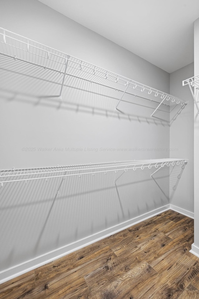 walk in closet with hardwood / wood-style floors