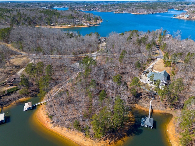 LOT61 Blue Water Pointe Dr, Jasper, AL 35504 - photo 5