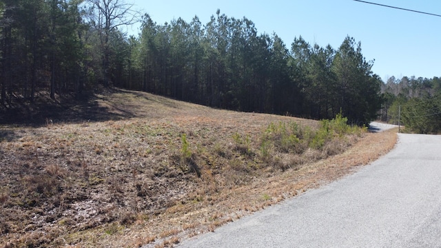 LOT10 Highland Shrs, Jasper, AL 35503 - photo 2