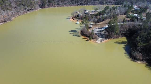 LOT10 Highland Shrs, Jasper, AL 35503 - photo 17