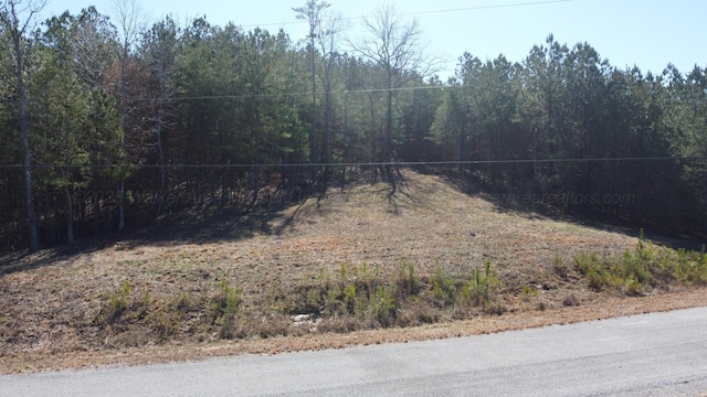 LOT10 Highland Shrs, Jasper, AL 35503 - photo 3