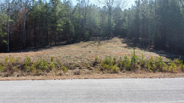 LOT10 Highland Shrs, Jasper, AL 35503 - photo 4