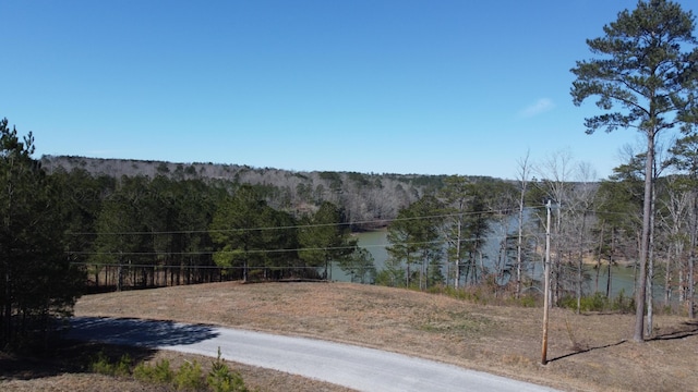 LOT10 Highland Shrs, Jasper, AL 35503 - photo 1
