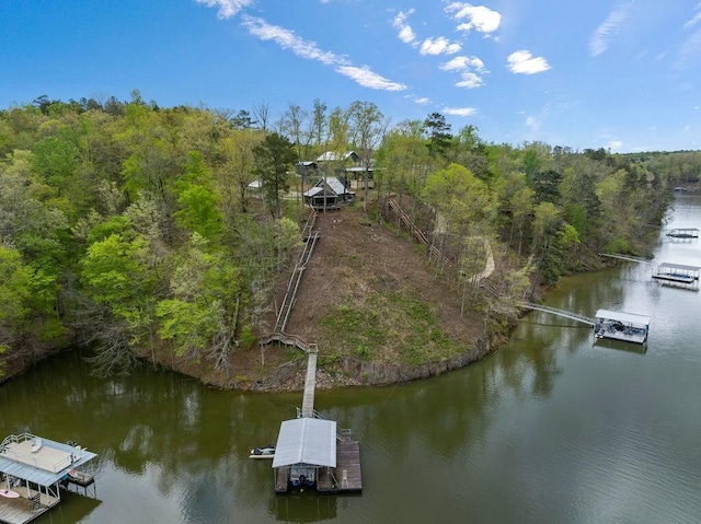 aerial view featuring a water view and a wooded view