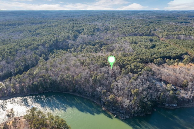 PARCEL2 Eagle Point Rd, Double Springs, AL 35553 - photo 4