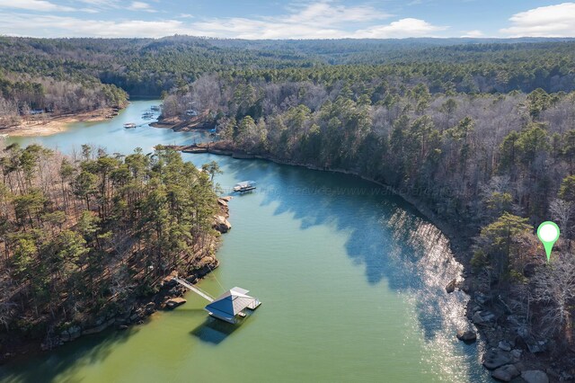 PARCEL2 Eagle Point Rd, Double Springs, AL 35553 - photo 3