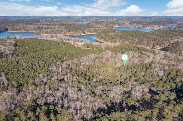 PARCEL2 Eagle Point Rd, Double Springs, AL 35553 - photo 6