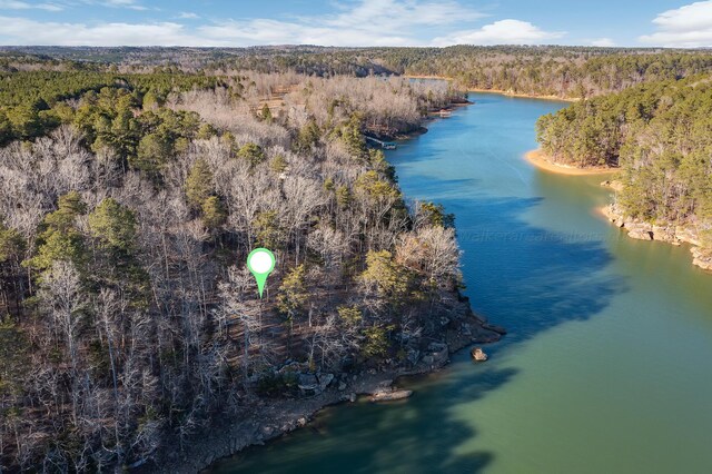 PARCEL2 Eagle Point Rd, Double Springs, AL 35553 - photo 5