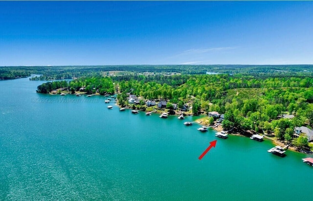 187 S Pointe Dr, Arley, AL 35541 - bird's eye view of a large body of water and a heavily wooded area
