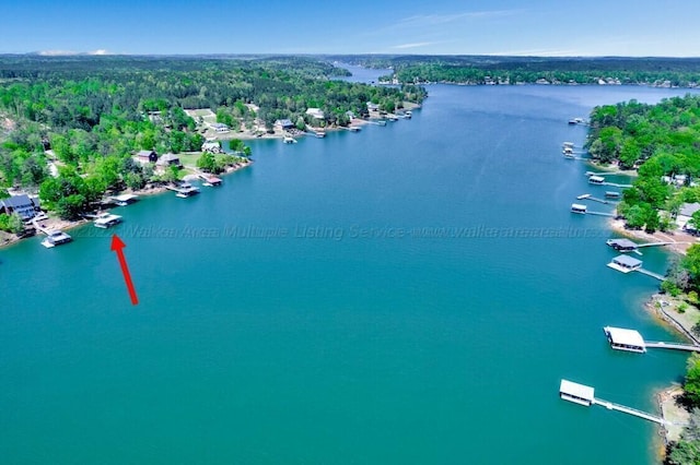 187 S Pointe Dr, Arley, AL 35541 - aerial view of a nearby body of water and a heavily wooded area