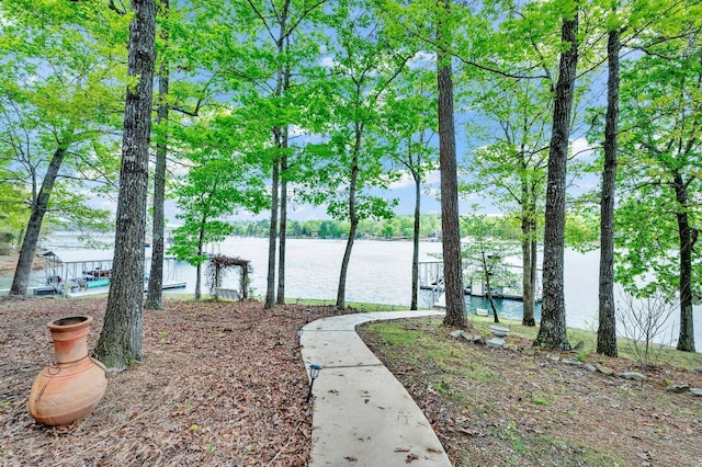 187 S Pointe Dr, Arley, AL 35541 - water view