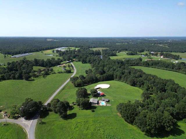 1318 County Road 1037, Addison, AL 35540 - photo 34