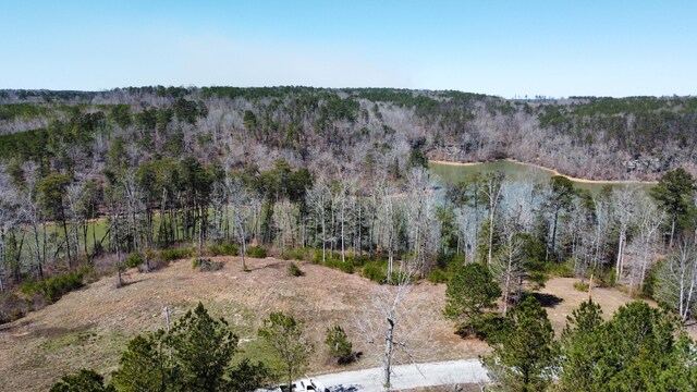 LOT38 Highland Shrs, Jasper, AL 35503 - photo 12