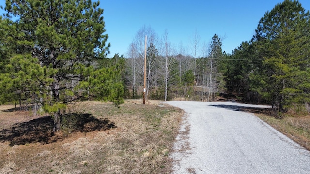 LOT38 Highland Shrs, Jasper, AL 35503 - photo 10