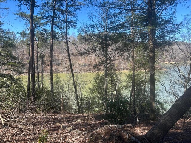 LOT38 Highland Shrs, Jasper, AL 35503 - photo 3