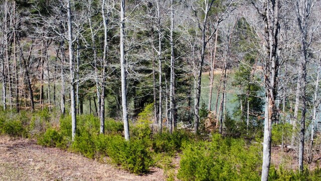 LOT38 Highland Shrs, Jasper, AL 35503 - photo 8