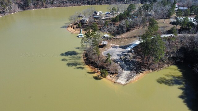 LOT38 Highland Shrs, Jasper, AL 35503 - photo 29
