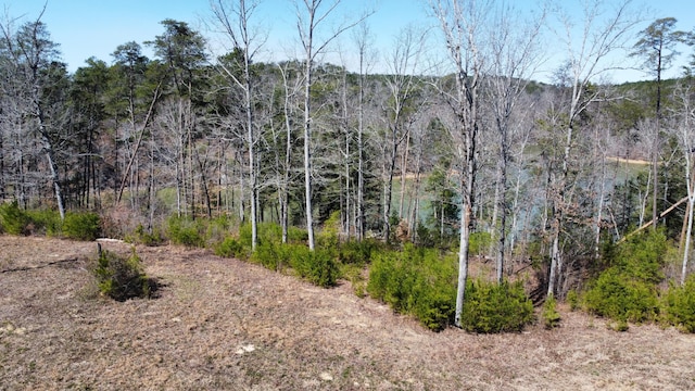 LOT38 Highland Shrs, Jasper, AL 35503 - photo 7