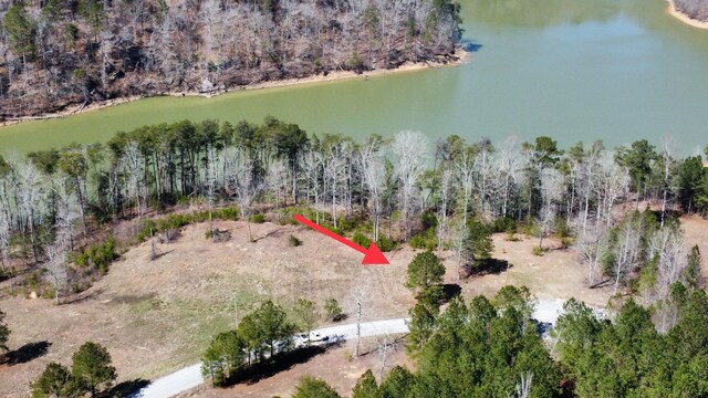 LOT38 Highland Shrs, Jasper, AL 35503 - photo 23