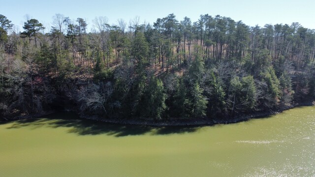 LOT38 Highland Shrs, Jasper, AL 35503 - photo 20