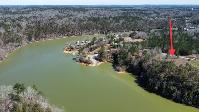 LOT38 Highland Shrs, Jasper, AL 35503 - photo 15