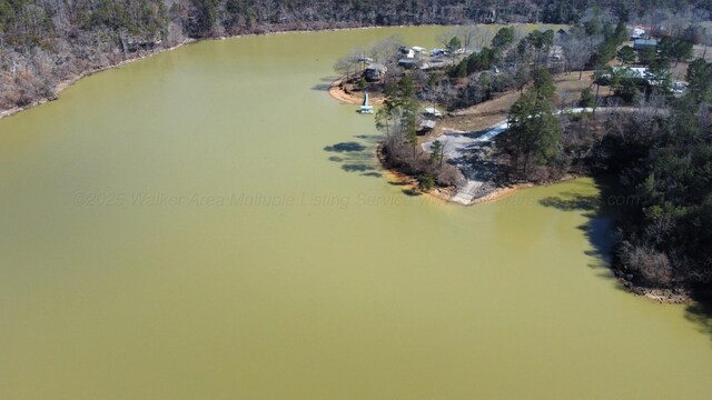 LOT38 Highland Shrs, Jasper, AL 35503 - photo 26