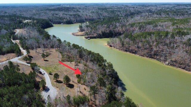 LOT38 Highland Shrs, Jasper, AL 35503 - photo 18