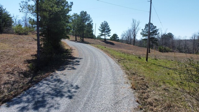 LOT38 Highland Shrs, Jasper, AL 35503 - photo 9