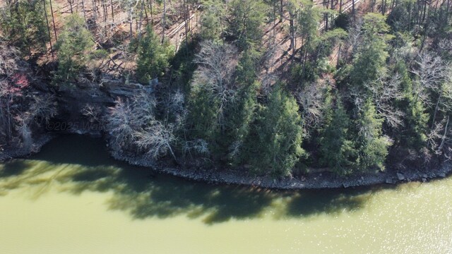 LOT38 Highland Shrs, Jasper, AL 35503 - photo 21
