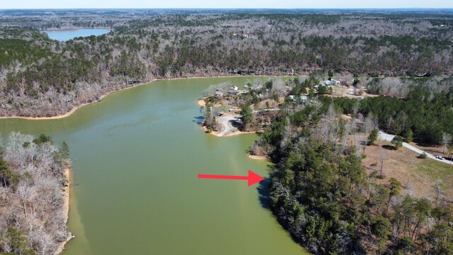 LOT38 Highland Shrs, Jasper, AL 35503 - photo 16
