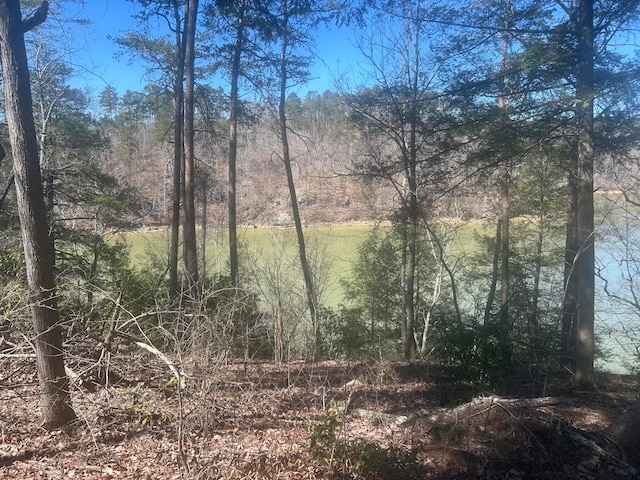 LOT38 Highland Shrs, Jasper, AL 35503 - photo 1
