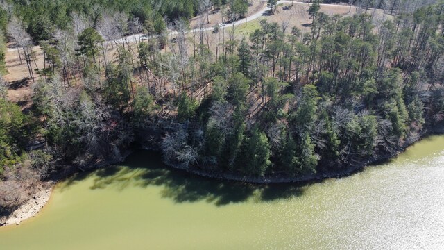 LOT38 Highland Shrs, Jasper, AL 35503 - photo 11