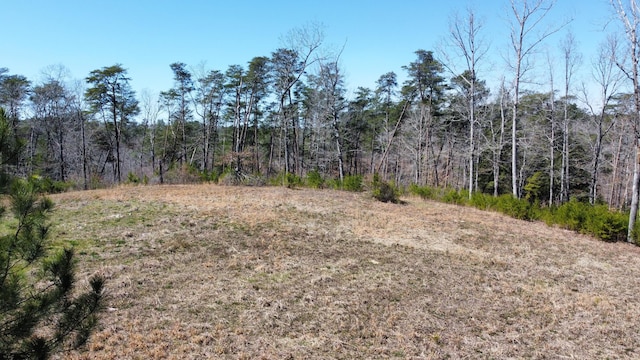 LOT38 Highland Shrs, Jasper, AL 35503 - photo 4