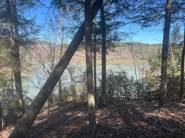 LOT38 Highland Shrs, Jasper, AL 35503 - photo 2