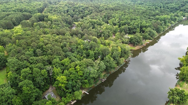 526 Boat Launch Rd, Quinton, AL 35130 - bird's eye view of a nearby body of water and a forest
