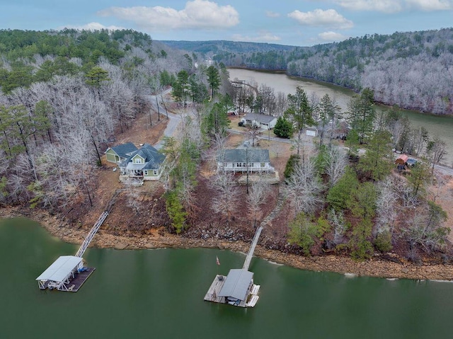 312 Brushy Rd, Arley, AL 35541 - photo 28