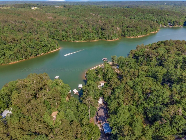 49 Macs Ln, Houston, AL 35572 - photo 4
