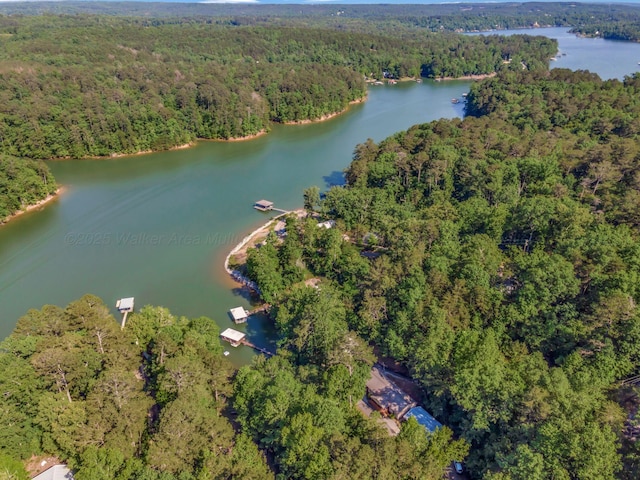49 Macs Ln, Houston, AL 35572 - photo 49