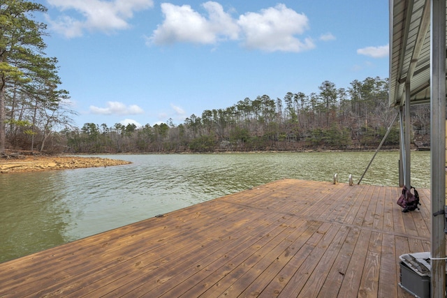 dock area featuring a water view