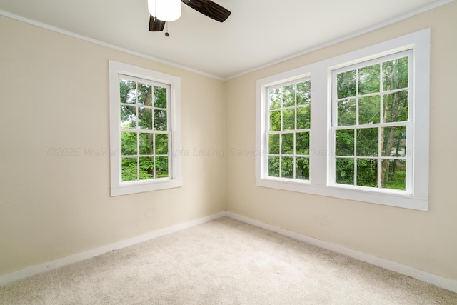 409 W 13th St, Jasper, AL 35501 - carpeted spare room featuring plenty of natural light, baseboards, ceiling fan, and ornamental molding