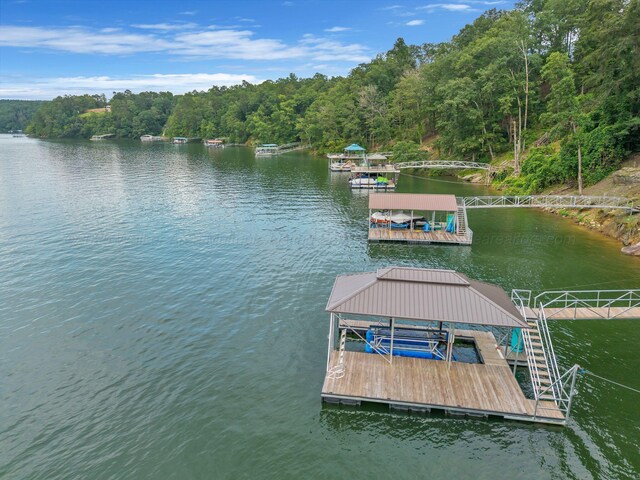1025 County Road 3908, Arley, AL 35541 - photo 4