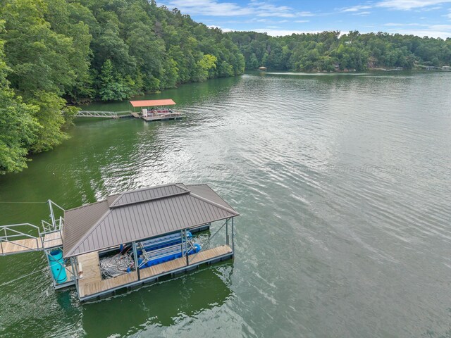 1025 County Road 3908, Arley, AL 35541 - photo 45